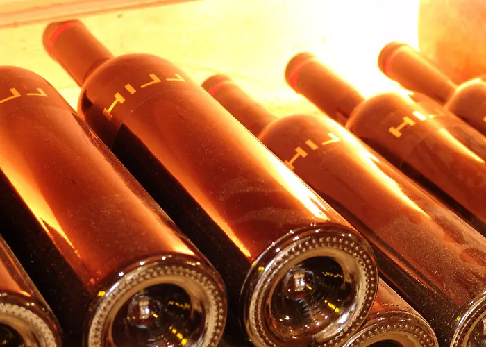 Hotel Arlen Hotel-garni 4*