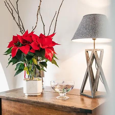 酒店 Arlen Hotel-garni 4*